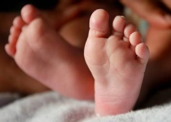 Ini Dia Identitas dan Modus Pelaku Perdagangan Bayi di Kulon Progo, Sasar Ibu Muda!