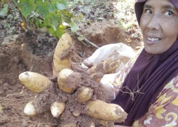 Yayasan SPG Siapkan 21 Dapur MBG, Dorong Gizi Sehat dan Ekonomi Kerakyatan di Gunungkidul