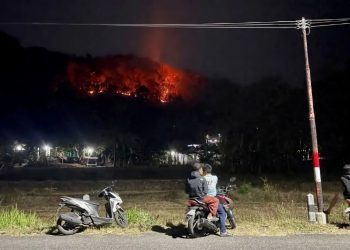 Kebakaran Hanguskan 8 Hektare Perbukitan Imogiri, Polisi: Api Berhasil Dipadamkan Secara Manual