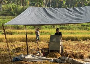 Viral Pagar Tinggi Pakuwon Mall Sleman, Manajemen Buka Suara Soal Isu Keamanan